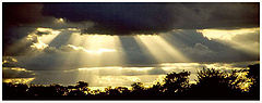 photo "Drama at the African heaven"