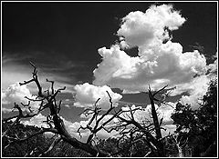 photo "Cloud-magic over the national-park"