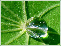 photo "After the rain-night"