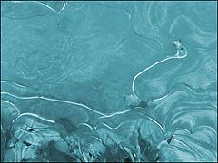 photo "Первый Ледок 1"
