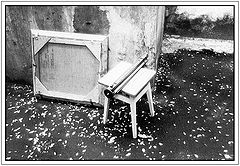 фото "Осенний этюд."