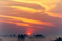 photo "Untitled photo"