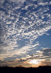 photo "A Maryland Set..12-01-2001"