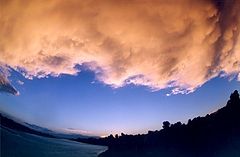 photo "Untitled photo"