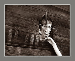 photo "window"