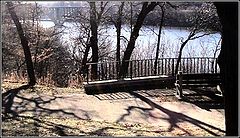 photo "The River 4"