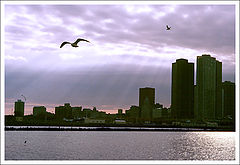 photo "Dusk Anxiety"