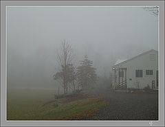 photo "Drizzling"