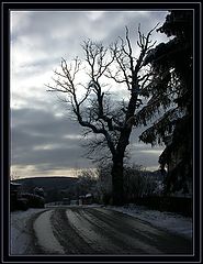 фото "It`s Just a Winter Landscape"