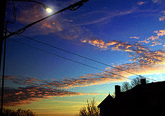 фото "Long Day`s Journey Into Evening"