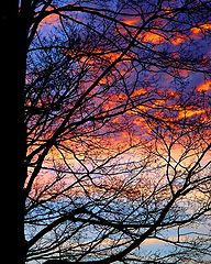 фото "Fall Colors Redux"