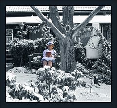 photo "Bestseller"