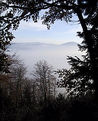photo "Untitled photo"