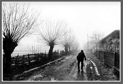 photo "untitled 2"