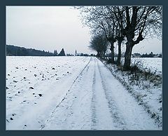photo "A Long White Road"