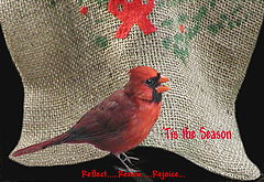 photo ""Tis The Season"....."