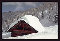 фото "Альпийские зарисовки 5"