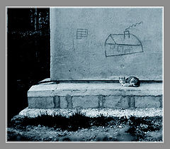 photo "Dream"