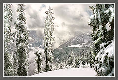 фото "Альпийские зарисовки 6"