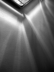 photo "light"