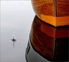фото "Splash!"