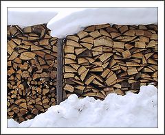 photo "Firewood"