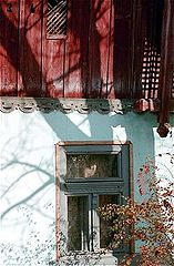 фото "A winter afternoon #2"