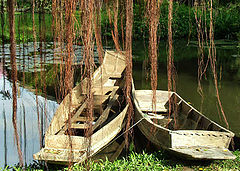фото "Love boats"