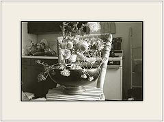 photo "Untitled photo"