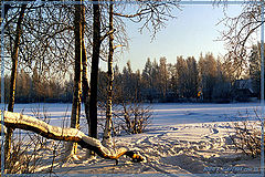 photo "Untitled photo"