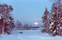 photo "Untitled photo"