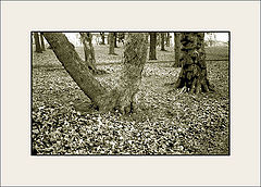 photo "Untitled photo"