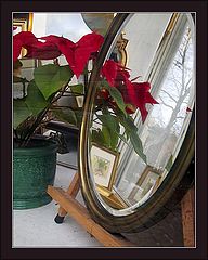 photo "Pointless Still-Life with Too Many Reflections"