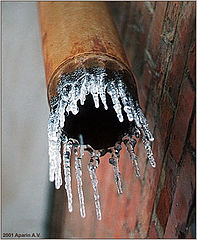 photo "An ice flower."