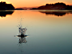 photo "Breaking the silence..New Version!"