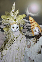 фото "cats in Venice"