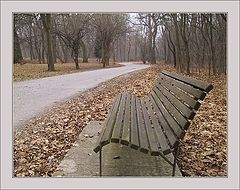 photo "Curves"