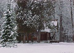 photo "The house in a wood"