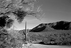 photo "Desert Mountain Road"