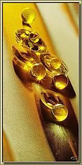 photo "Glass"