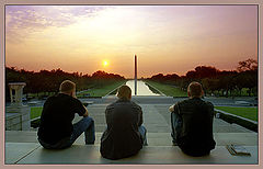 photo "Early birds"