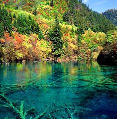 фото "Fairyland"