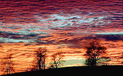photo "A Palette...."