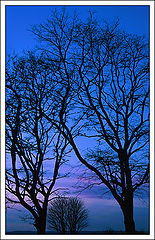 фото "Winter cold"
