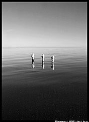 фото "Three Posts"