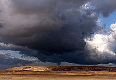 photo "The Storm"