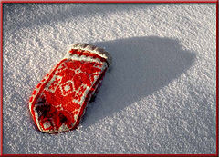 photo "Red in Snow"