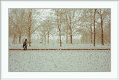 photo "First snow (look from the inside)"