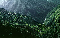 photo "Sikkim Terraces"