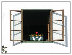 фото "Window"